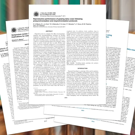 Home A fan-like arrangement of several printed academic research papers from the Journal of Dairy Science. The front-most paper is titled "Reproductive performance of grazing dairy cows following presynchronization and resynchronization protocols." The background is softly blurred, highlighting the stacked publications.