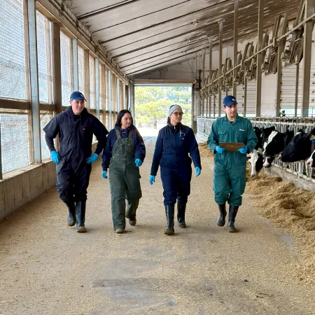 Home Lab students wearing work coveralls, rubber boots, and blue gloves walk together down the center aisle of a large, open-air dairy barn. To their right, several Holstein cows are lined up at a feeding trough with hay. One person in a green coverall holds a clipboard, and the group appears to be conducting a site visit or research task.