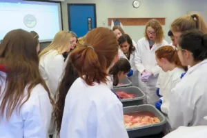 A group of university students in white lab coats and protective gloves observing biological specimens in laboratory bins during a hands-on anatomy practical, with a scientific diagram projected in the background.