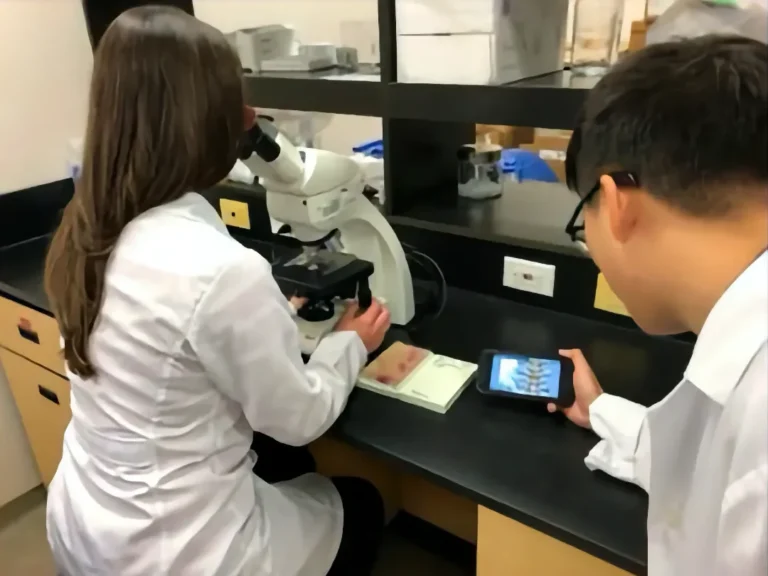 ANSC 3040 Laboratory researchers collaborating at a workstation; one operating a biological microscope while another monitors results on a digital device.
