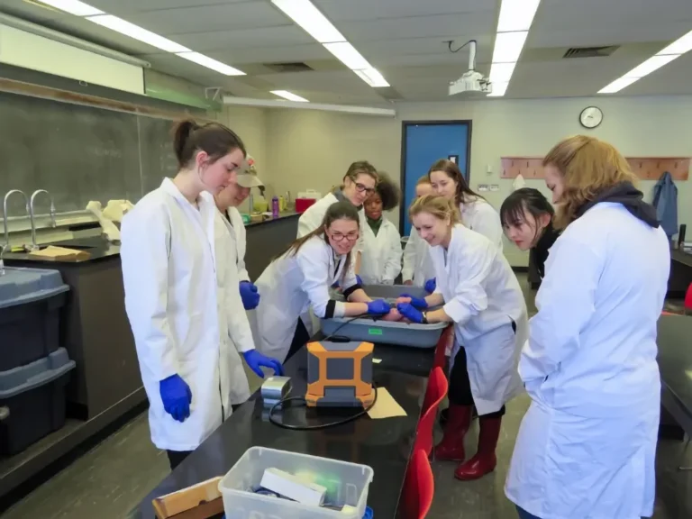ANSC 3040 A group of university students in the ANSC 3040 course wearing white lab coats and blue gloves, gathered around a laboratory bench to examine a specimen using specialized scientific equipment during a practical class.