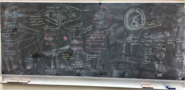 ANSC 6070 A blackboard filled with a detailed hand-drawn scientific diagram.