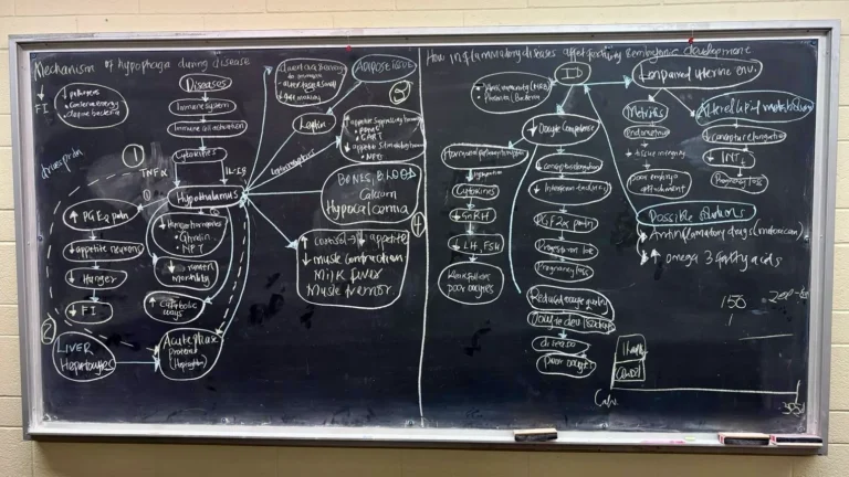 ANSC 6070 A blackboard filled with a detailed hand-drawn scientific diagram.