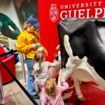 Outreach Alicia in a yellow sweater interacts with young children at an educational dairy exhibit featuring a life-sized cow model during the Royal Winter Fair 2025.