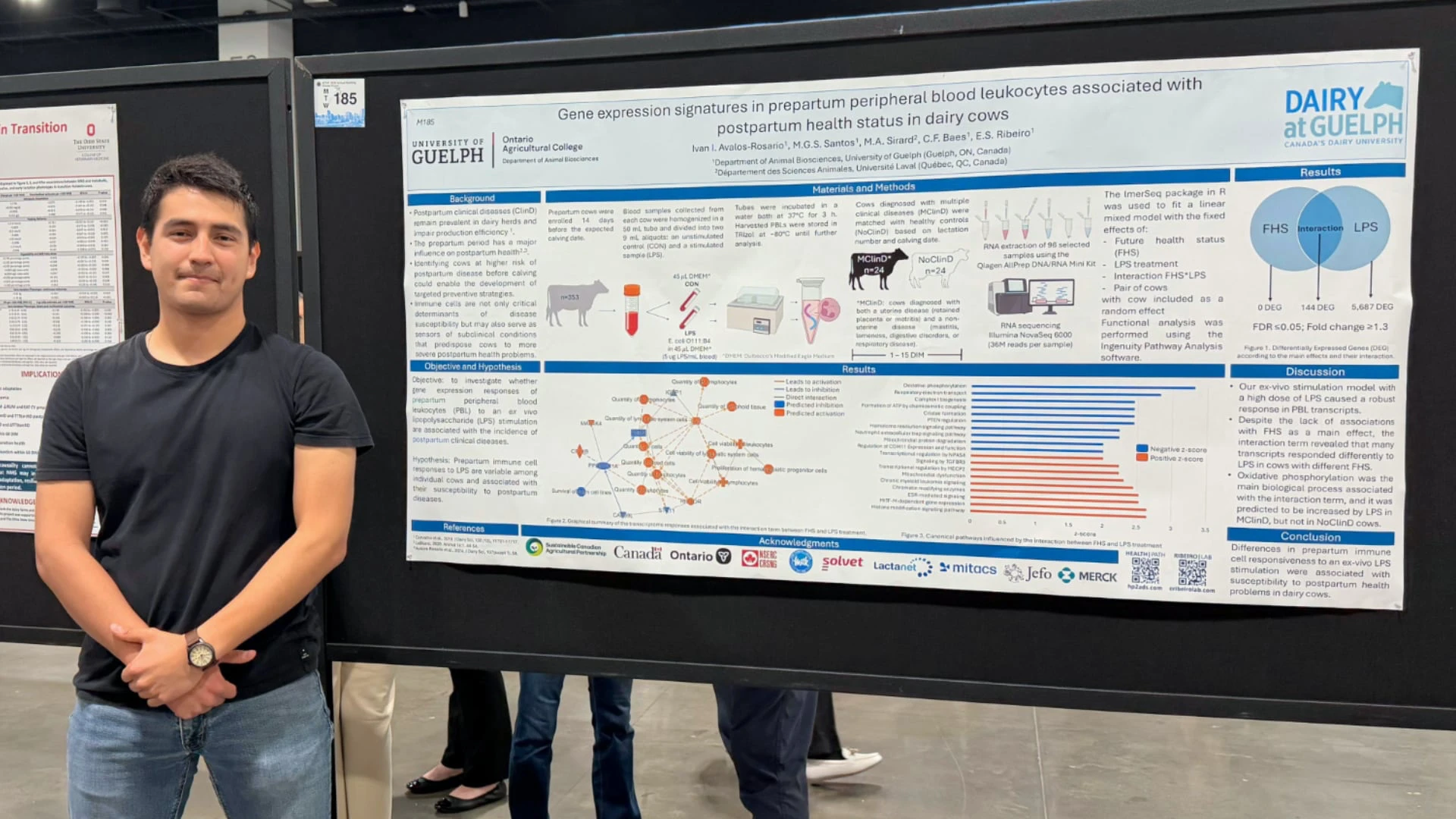 Ribeiro Lab at ADSA 2026 Wrap-Up A male researcher in a black t-shirt standing confidently next to a large scientific research poster. The poster features University of Guelph and Ribeiro Lab branding, titled 'Gene expression signatures in prepartum peripheral blood leukocytes associated with postpartum health status in dairy cows' and displays complex biological network diagrams and bar charts.