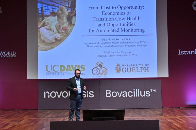 Wide shot of speaker Dr. Ribeiro standing on stage presenting a slide titled 'From Cost to Opportunity: Economics of Transition Cow Health and Opportunities for Automated Monitoring' at the World Buiatrics Congress in Istanbul, Turkey, on September 9, 2026. The slide displays logos for UC Davis, Ribeiro Lab, and University of Guelph above stage branding for Novosil and Bovacillus.