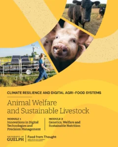 Food from Thought: Animal Welfare and Sustainable Livestock Report