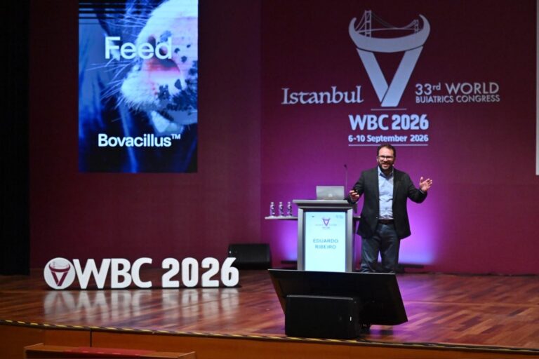 Full stage shot showing Dr. Ribeiro presenting at a podium labeled with his name during the 33rd World Buiatrics Congress in Istanbul, with large 3D 'WBC 2026' letters on the left floor and event banners illuminated on the background wall.